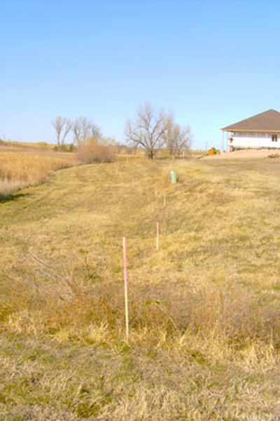 Site Planning Survey